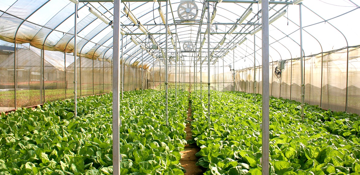 Agro-science Park 
