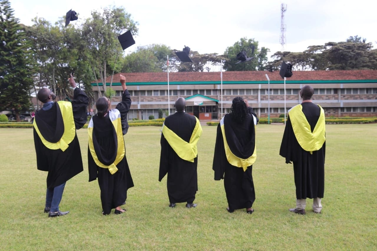 graduate