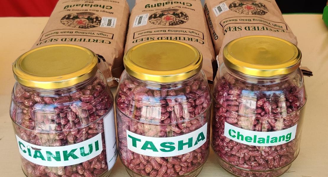 Beans Varieties
