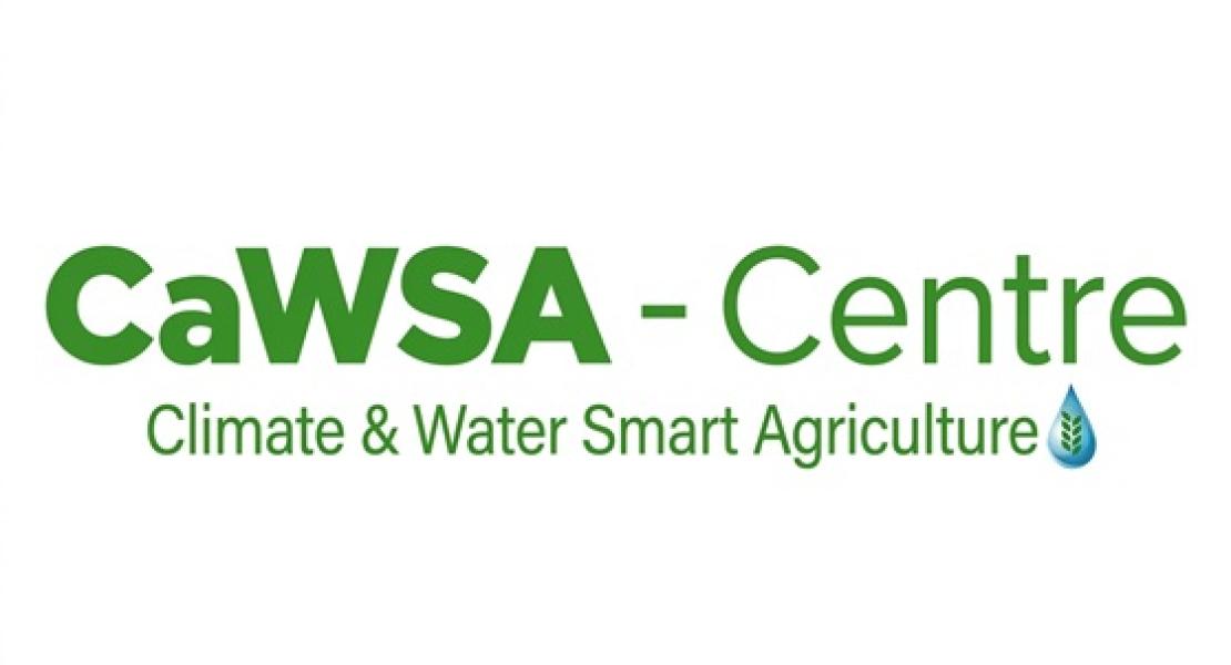 cawsa