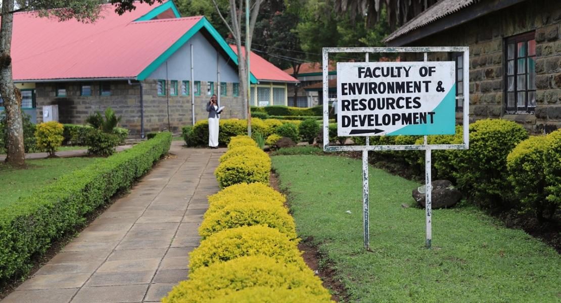 faculties