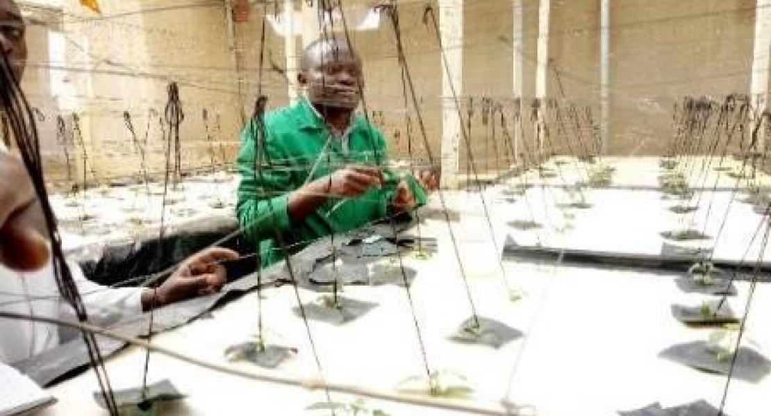 agribusiness