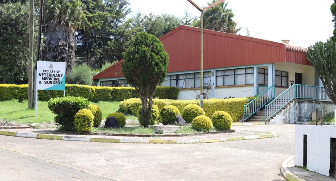 faculty_of_veterinaty_medicine